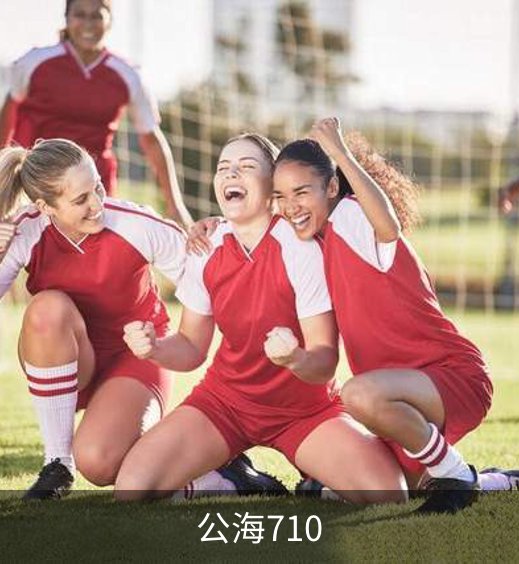公海710简介